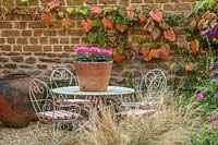Courtyard gravel garden with table, chairs and container with Cyclamen 'Rose, with Vitis coignetiae vine on wall