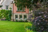 View across mown lawn to Wisteria growing on house wall and lawn with Sambucus 'Nigra' - Elderflower in foreground underplanted with Sedum, Heuchera and Spirea   