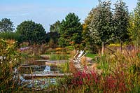 Natural swimming pond - View across decking with deckchairs and wooden bench 