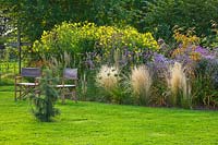 Border beside lawn with grass Stipa tenuissima, asters and Helianthus 'Lemon Queen'
