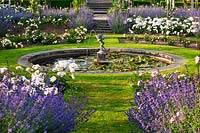 Round pond with statue surrounded by rose beds edged with Nepeta faassenii - catmint
