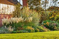 Tropical, exotic border beside house with Cortaderia selloana 'Pumila' - pampas grass
Arundo donax 'Versicolor', dahlias and gazanias 

