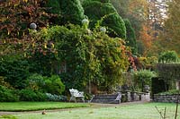 Autumn colour from evergreen and deciduous trees