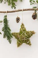 Branch decorated with stars and foliage
