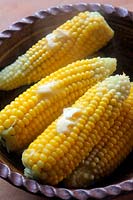 Sweet Corn - Zea mays 'Wagtail' - cooked