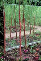 Le jardin d'amour by Mathieu DUVIGNAUD, landscape architect, Pierre MARIÃ‰TAN, composer and director of the Meetings Architecture Music Ecology and Eleonore COURT, landscape engineer - 2013 at the Garden of the Domaine de Chaumont-sur-Loire. plants: Salix s