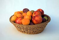 Basket of fruit with Apricots, Nectarines and Plums