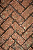 Bricks used as paving in a garden - herringbone pattern