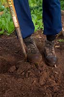 Man digging with spade in garden and wearing leather safety work boots