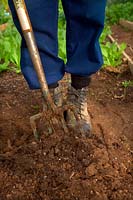 Man digging with garden fork in garden and wearing leather safety work boots