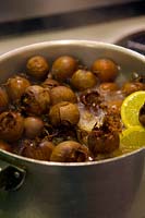 Making Medlar Jelly - boiling up medlars with water and lemons - Mespilus germanica 'Nottingham'