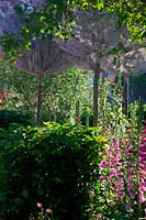 RHS Chelsea Flower Show 2014 - City of London Corporation Oak Processionary Moth Garden. Designer Helen Elks-Smith. Fresh Garden