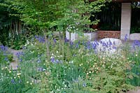 RHS Chelsea Flower Show 2014 - The Homebase Garden Â- Time to Reflect Designer Adam Frost. Show Garden