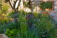 A summer garden border with perennials, flowers and grasses