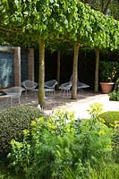 A canopy of Tilia x europaea 'Pallida' - Lime trees shade a seating area in a contemporary garden