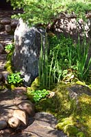 Detail of stones with moss and foliage in a Japanese style garden