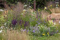 Colourful perennial planting with grasses and flowers to attract insects and other wildlife