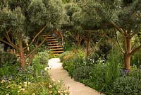 The Winton Beauty of Mathematics Garden, RHS Chelsea Flower Show 2016. Designer Nick Bailey.Plants showing mathematical patterns