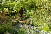 Dicksonia and Restio in a small urban garden with hardy exotic planting and seating. RHS Hampton Court Show Designers Andrew Fisher Tomlin, Dan Bowyer