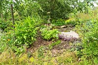 The London Glades garden at the RHS Hampton Court Flower Show 2017. Designers: Andreas Christodoulou and Jonathan Davies. Awarded a Gold Medal.