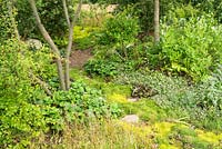 The London Glades garden at the RHS Hampton Court Flower Show 2017. Designers: Andreas Christodoulou and Jonathan Davies. Awarded a Gold Medal.