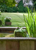 Blackbird is bathing in the fountain