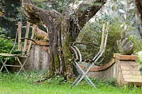 Impression with garden chair in the mediterranean garden