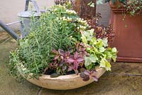 Plant container with fall plants