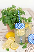 Lemonade with Melissa officinalis