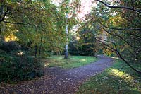 Pathway through woodland in Inverewe Gardens, The National Trust for Scotland