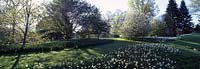 The Orchard in spring flower at Chanticleer Garden, USA