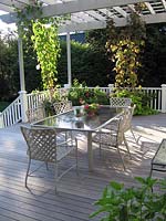Verandah with white painted furniture table chairs and deck in the Hamptons Long Island USA Pelargonium in terracotta pot on tab
