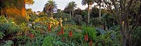 Abbey Gardens,Treso, Scilly Isles