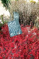 Ilex berries & stems with pussy willow buds & stems for sale at Columbia Road Flower Market, London