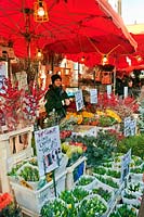 Flower stalls at Columbia Road Flower Market, London