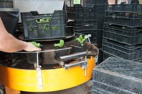 Machine for potting plants in a horticultural nursery