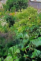 Cotswolds vegetable garden packed with foliage and flower