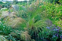 Isabelle van Groeningen's garden Large perennial bed with flowers ornamental grass Stipa Nigella damascena  Lavender Eryngium