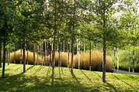 Core Sample by North Design Office at Festival International de jardins, Metis, Quebec, Canada