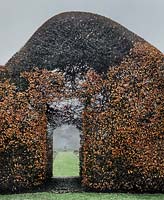 Beech archway at Levens Hall