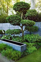 Laurent Perrier Chelsea Tom Stuart Smith 2008 show garden with paving, cloud pruned hornbeam, zinc water tanks & perennial plant