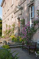Front of Dalemain House with climbing rose, Rosa 'Old Blush China' Dalemain House & Garden, Cumbria