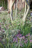 Nature and Human Intervention, The Laurent-Perrier Garden by Luciano Giubbilei at RHS Chelsea Flower Show 2011