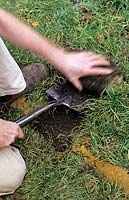 Gardener repairing a lawn lifting old turf with a spade