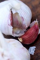 Garlic (Allium sativum) bulb with papery white skin & crimson coloured cloves