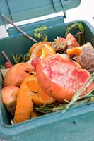 Compost bin with orange peel and grapefruit skins