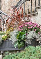 Autumnal plantig in a flower box