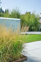 Modern garden design with ornamental grasses