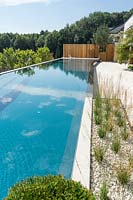 Modern garden design with swimming pool