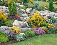 Rock garden with flowering perennials and coniferes